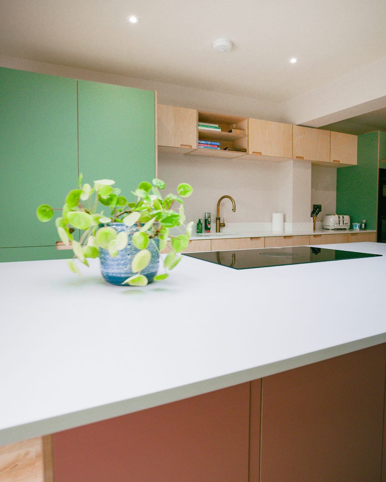 Green and oak shaker kitchen by JWA Building Services
